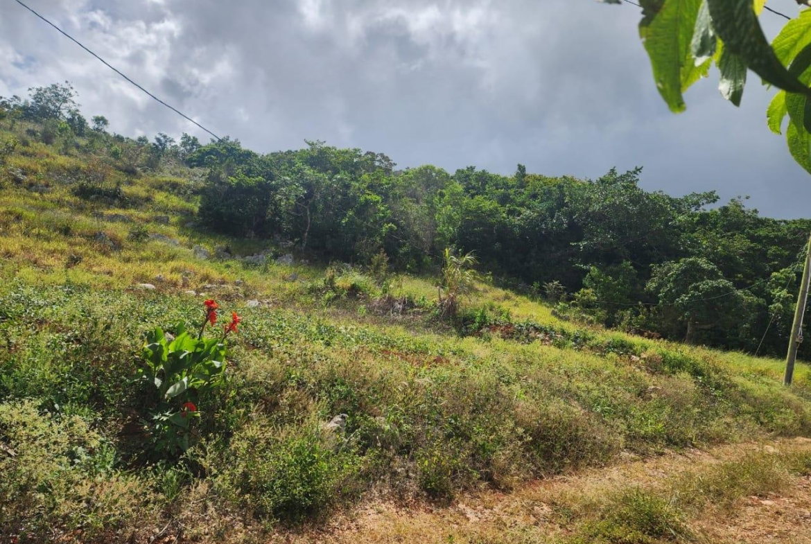 Thirteenth image of 15 Wicwar Huntley Mandevill in Huntley, Manchester, Jamaica - property is For Sale