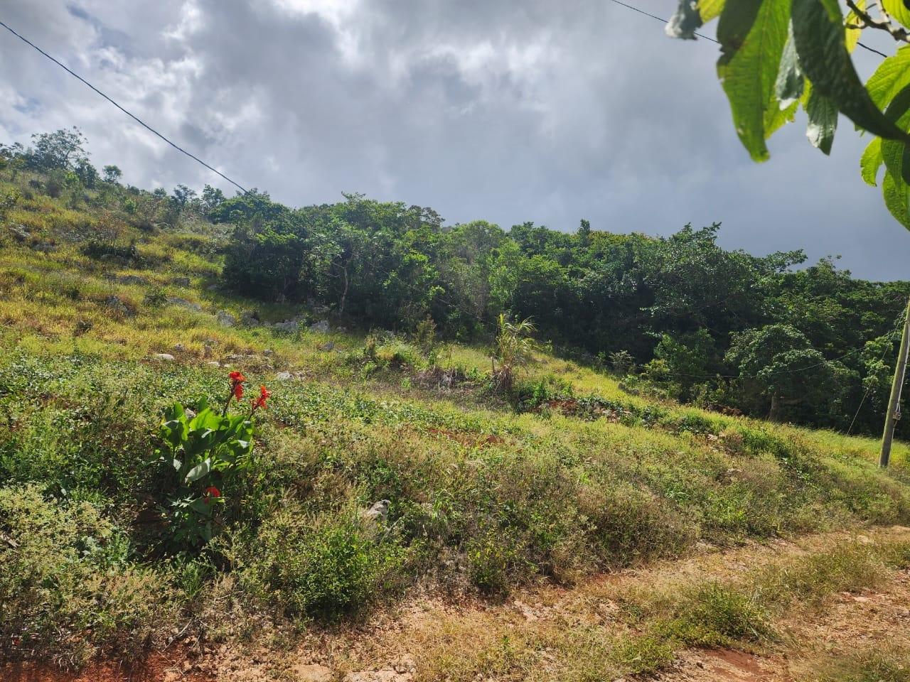 Thirteenth image of 15 Wicwar Huntley Mandevill in Huntley, Manchester, Jamaica - property is For Sale