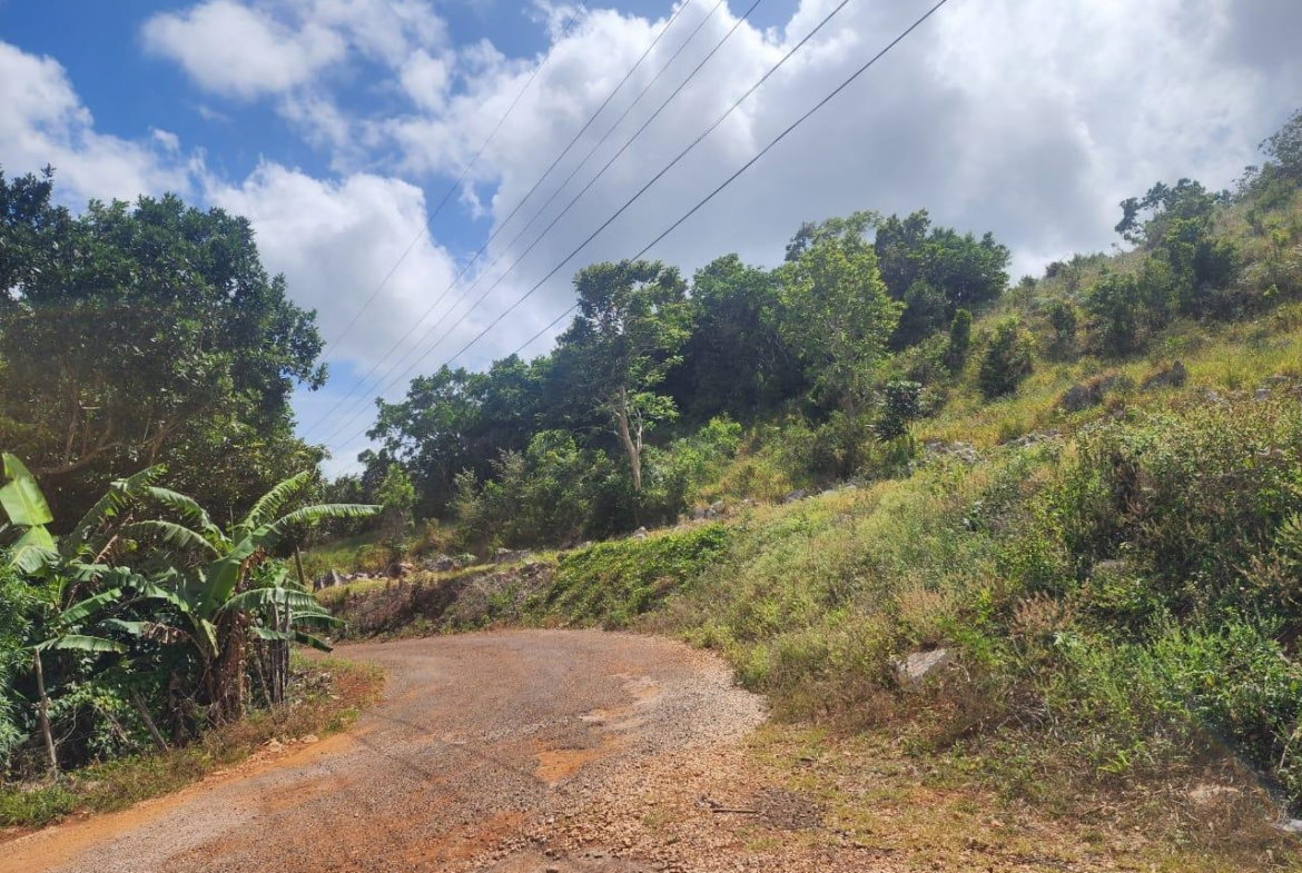 Fourteenth image of 15 Wicwar Huntley Mandevill in Huntley, Manchester, Jamaica - property is For Sale