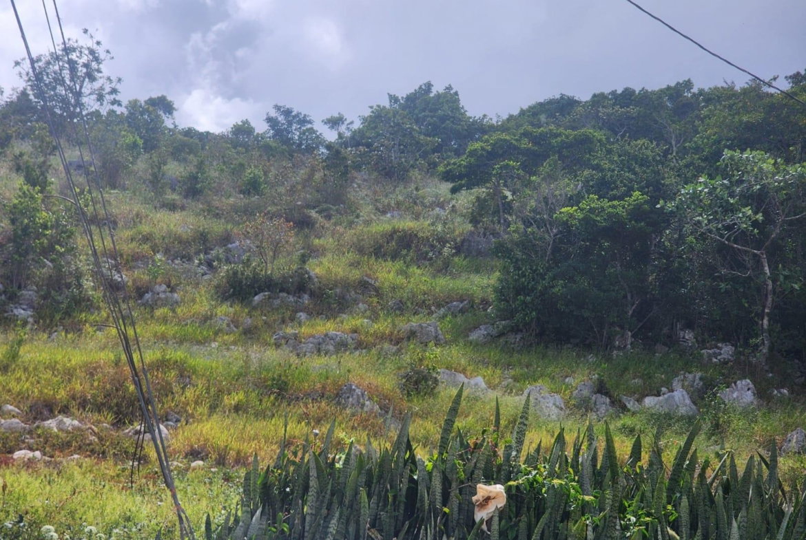 Fifth image of 15 Wicwar Huntley Mandevill in Huntley, Manchester, Jamaica - property is For Sale