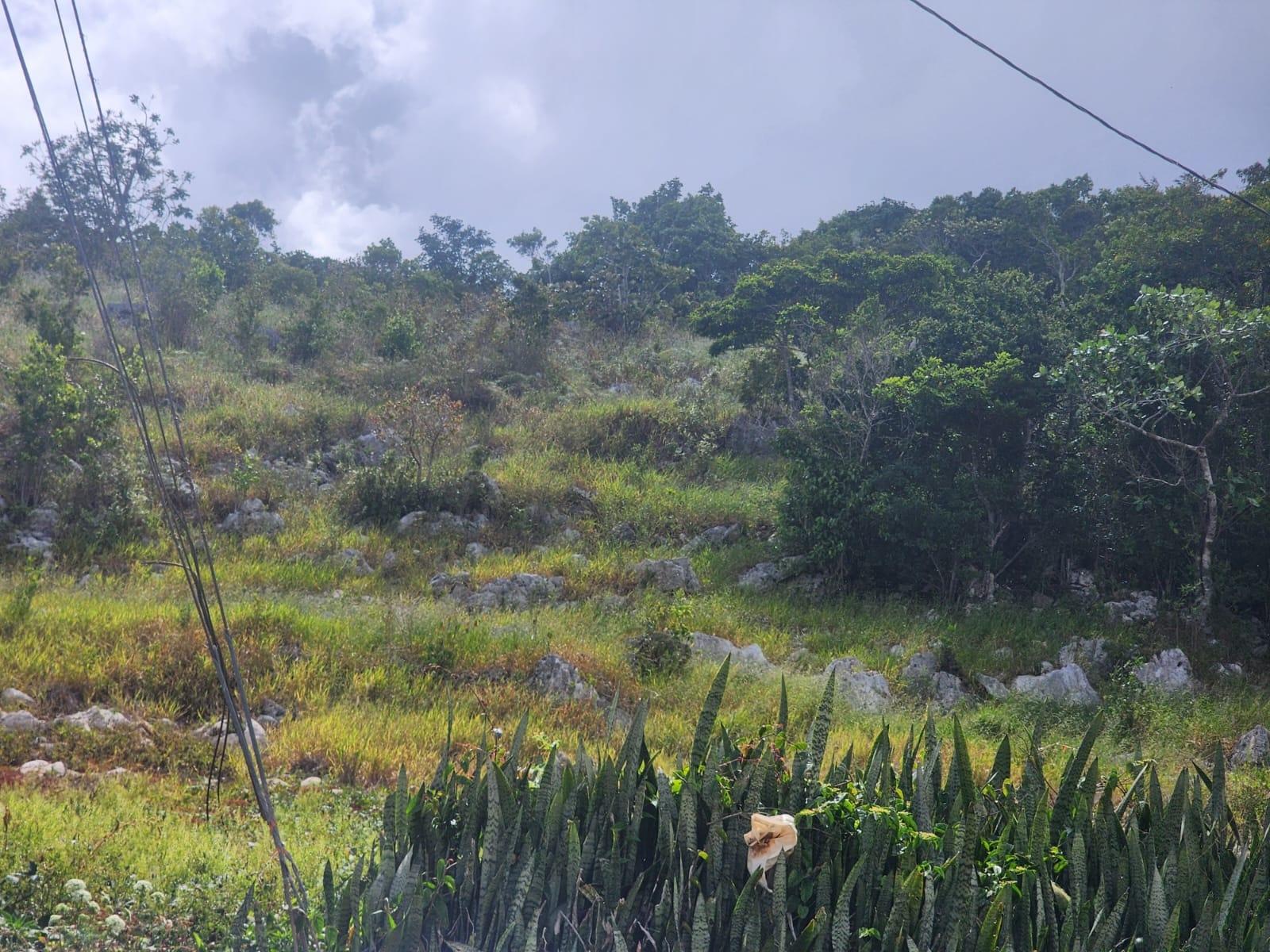 Fifth image of 15 Wicwar Huntley Mandevill in Huntley, Manchester, Jamaica - property is For Sale