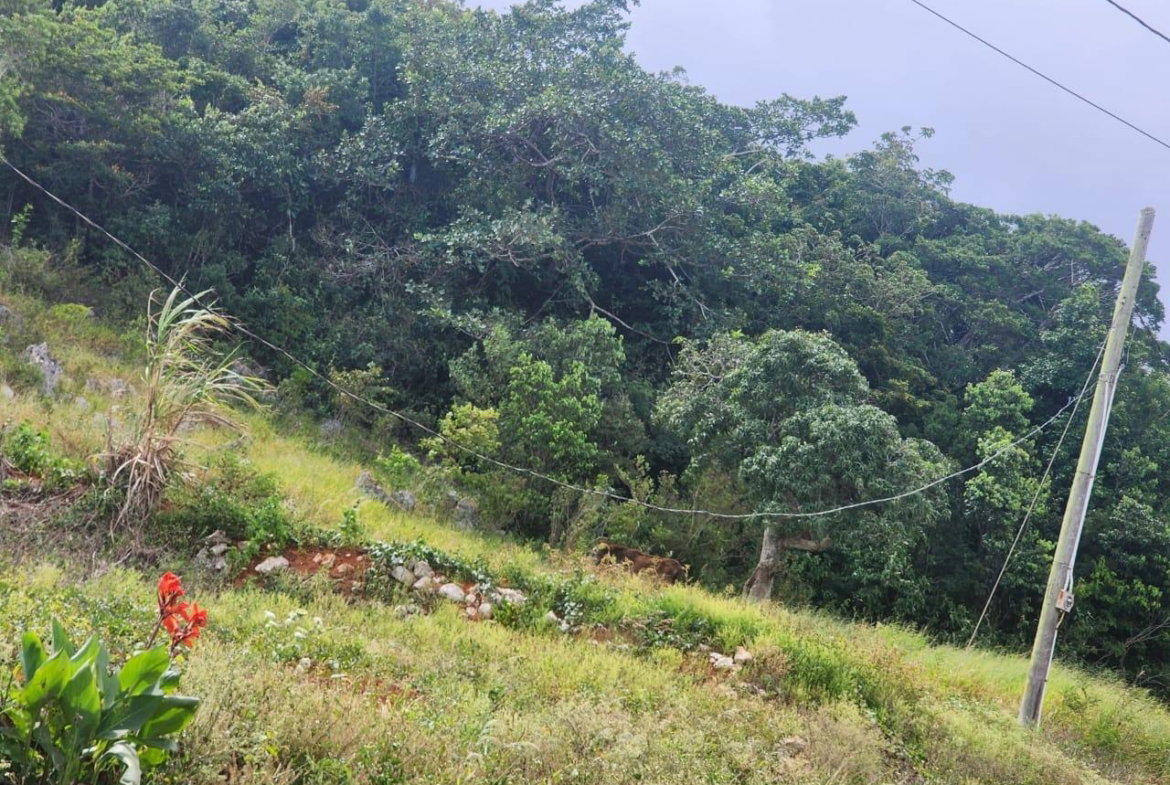 Eighth image of 15 Wicwar Huntley Mandevill in Huntley, Manchester, Jamaica - property is For Sale