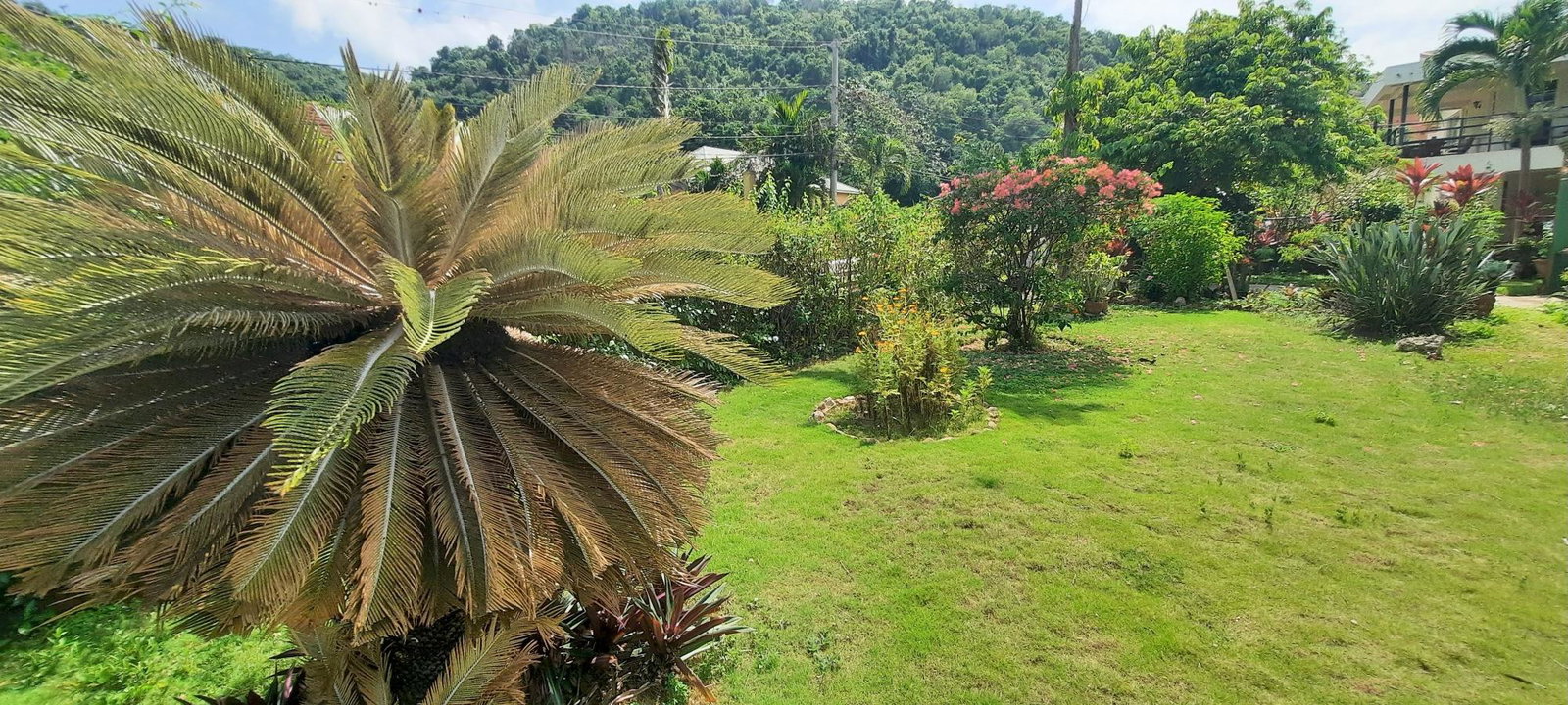 Twenty-Third image of (lot 31)-16 Aris Avenue (parl Road) in Red Hills, St. Andrew, Jamaica - property is For Sale