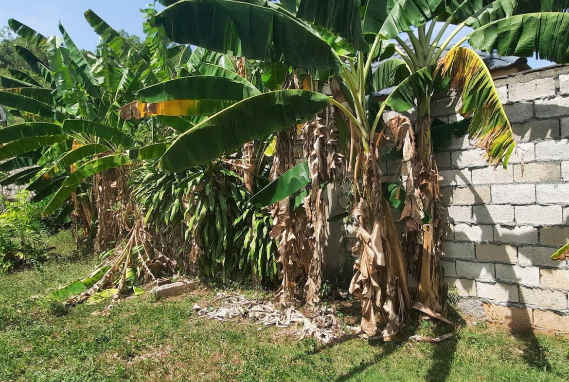 Twenty-Fourth image of (lot 31)-16 Aris Avenue (parl Road) in Red Hills, St. Andrew, Jamaica - property is For Sale
