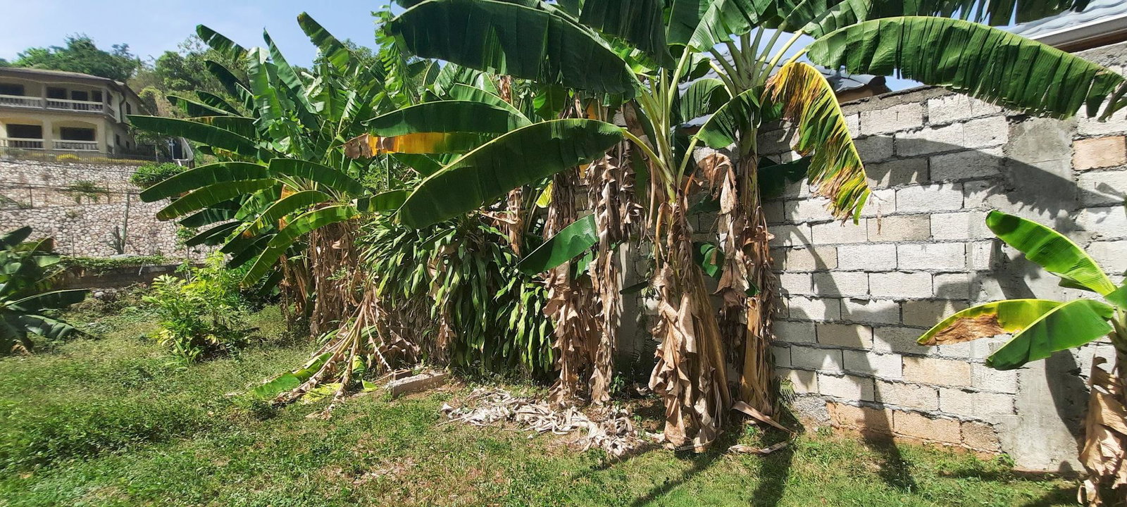 Twenty-Fourth image of (lot 31)-16 Aris Avenue (parl Road) in Red Hills, St. Andrew, Jamaica - property is For Sale