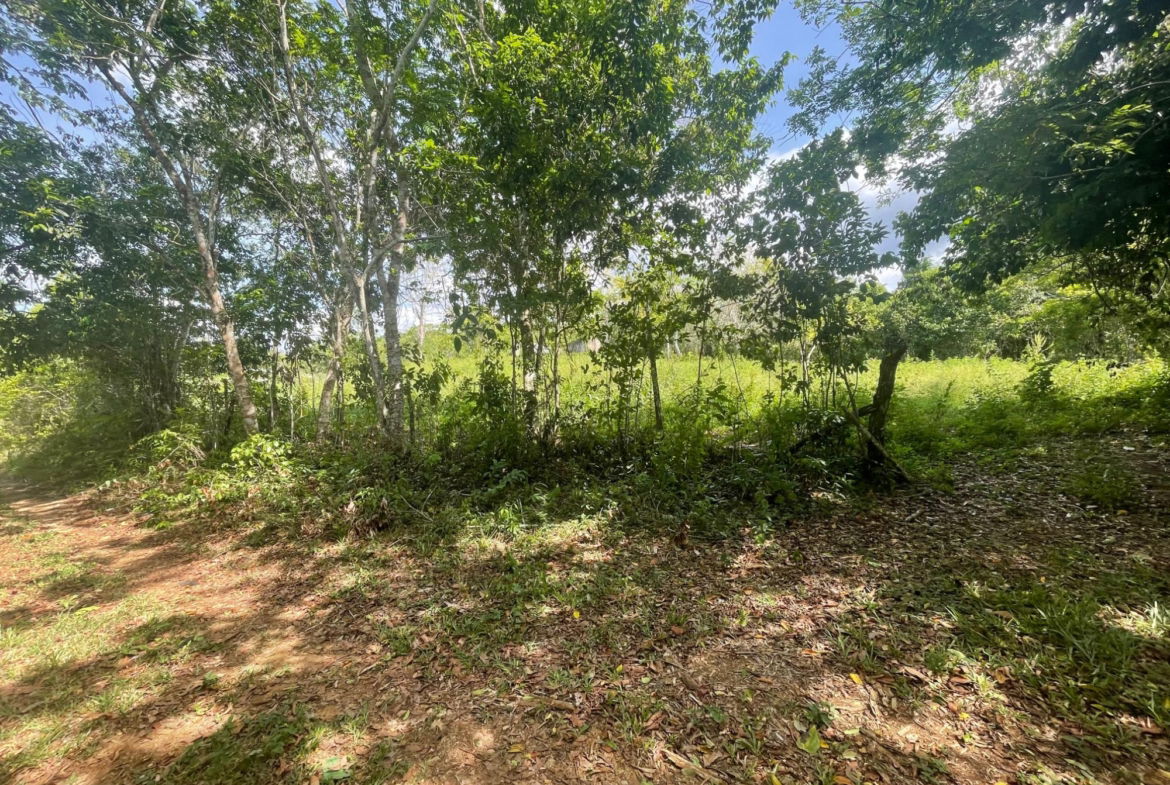 Second image of 22 Homecastle, Stewart Town in Discovery Bay, St. Ann, Jamaica - property is For Sale