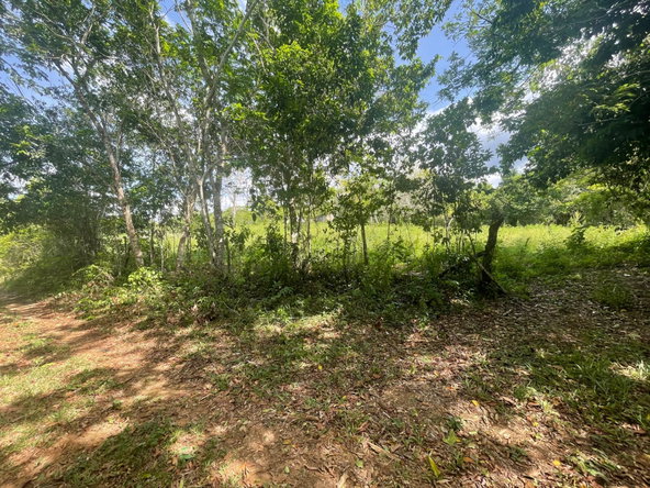 Second image of 22 Homecastle, Stewart Town in Discovery Bay, St. Ann, Jamaica - property is For Sale