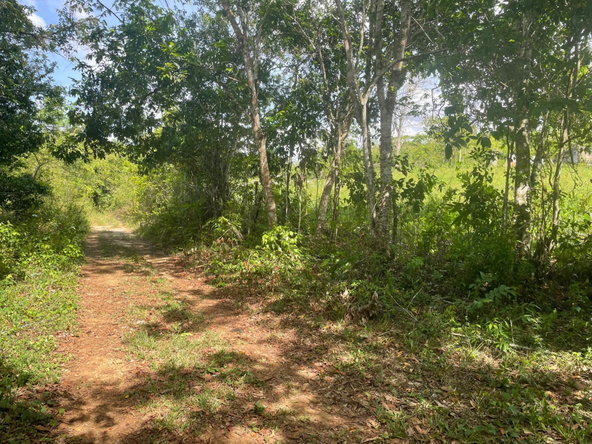 Sixth image of 22 Homecastle, Stewart Town in Discovery Bay, St. Ann, Jamaica - property is For Sale