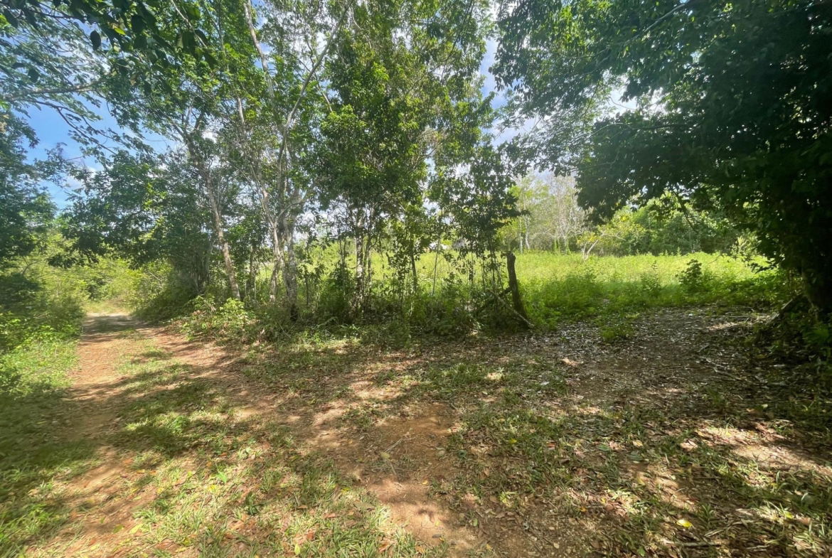 Seventh image of 22 Homecastle, Stewart Town in Discovery Bay, St. Ann, Jamaica - property is For Sale