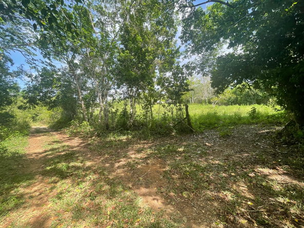 Seventh image of 22 Homecastle, Stewart Town in Discovery Bay, St. Ann, Jamaica - property is For Sale