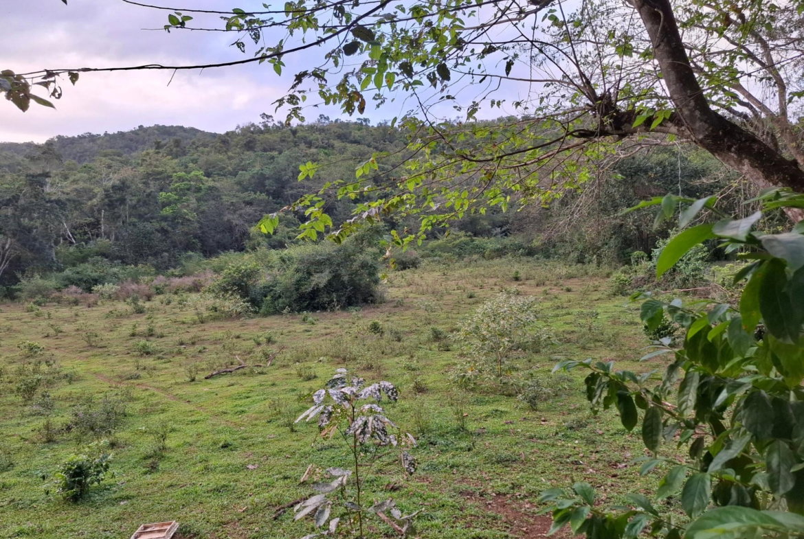 First image of Home Castle in Browns Town, St. Ann, Jamaica - property is For Sale