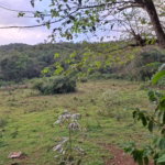 First image of Home Castle in Browns Town, St. Ann, Jamaica - property is For Sale