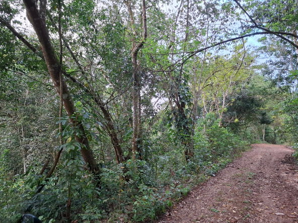 Third image of Home Castle in Browns Town, St. Ann, Jamaica - property is For Sale