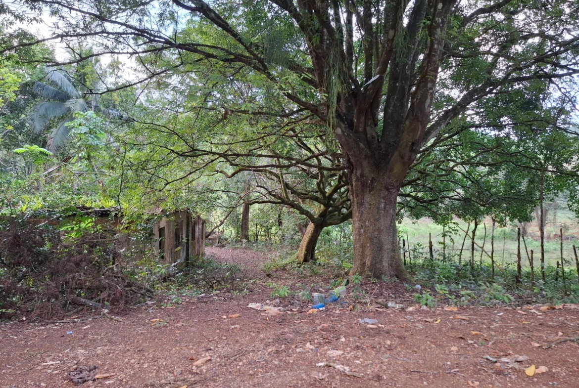 Fourth image of Home Castle in Browns Town, St. Ann, Jamaica - property is For Sale