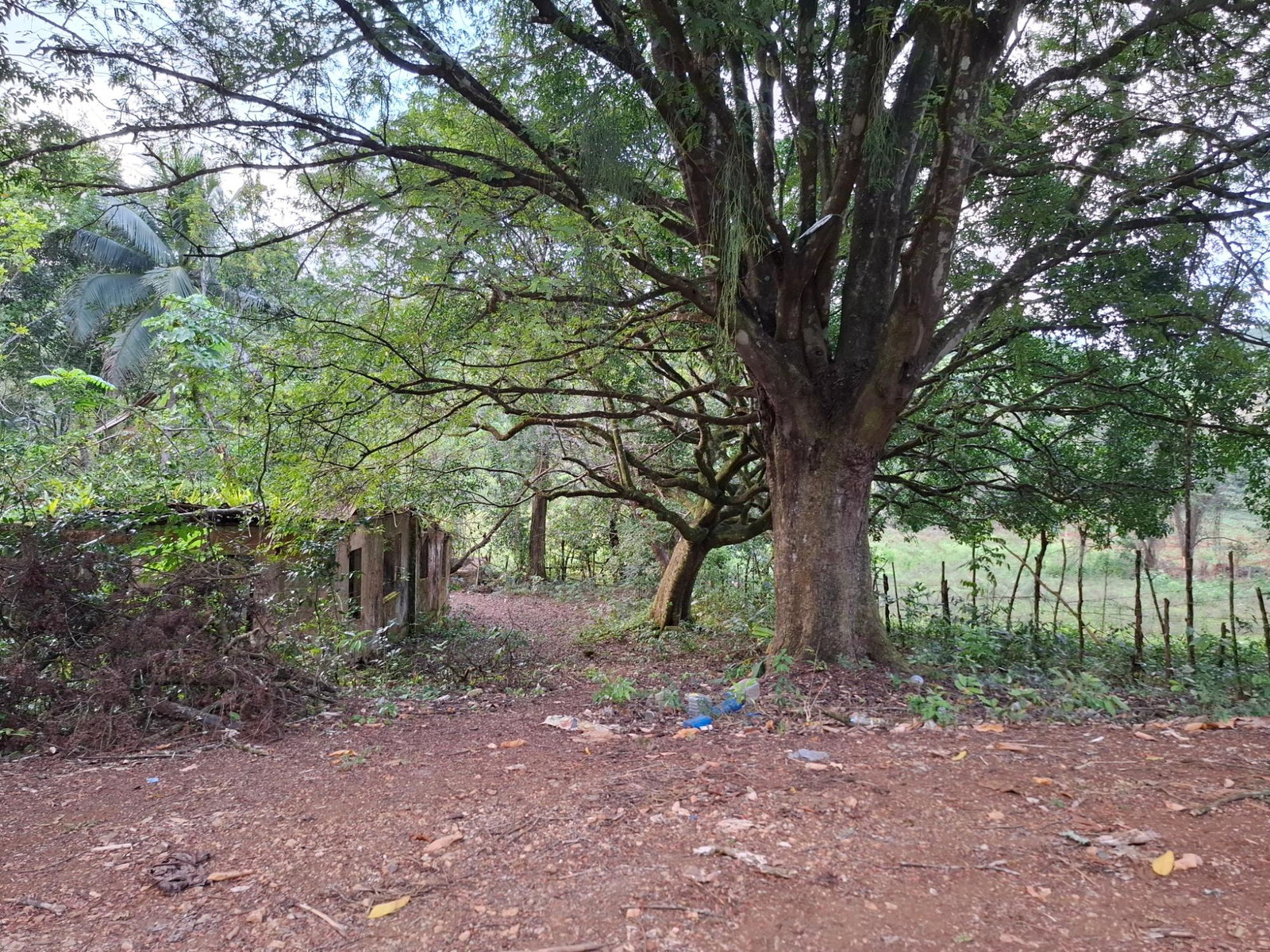Fourth image of Home Castle in Browns Town, St. Ann, Jamaica - property is For Sale