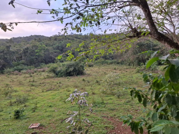 First image of Home Castle in Browns Town, St. Ann, Jamaica - property is For Sale