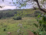 First image of Home Castle in Browns Town, St. Ann, Jamaica - property is For Sale