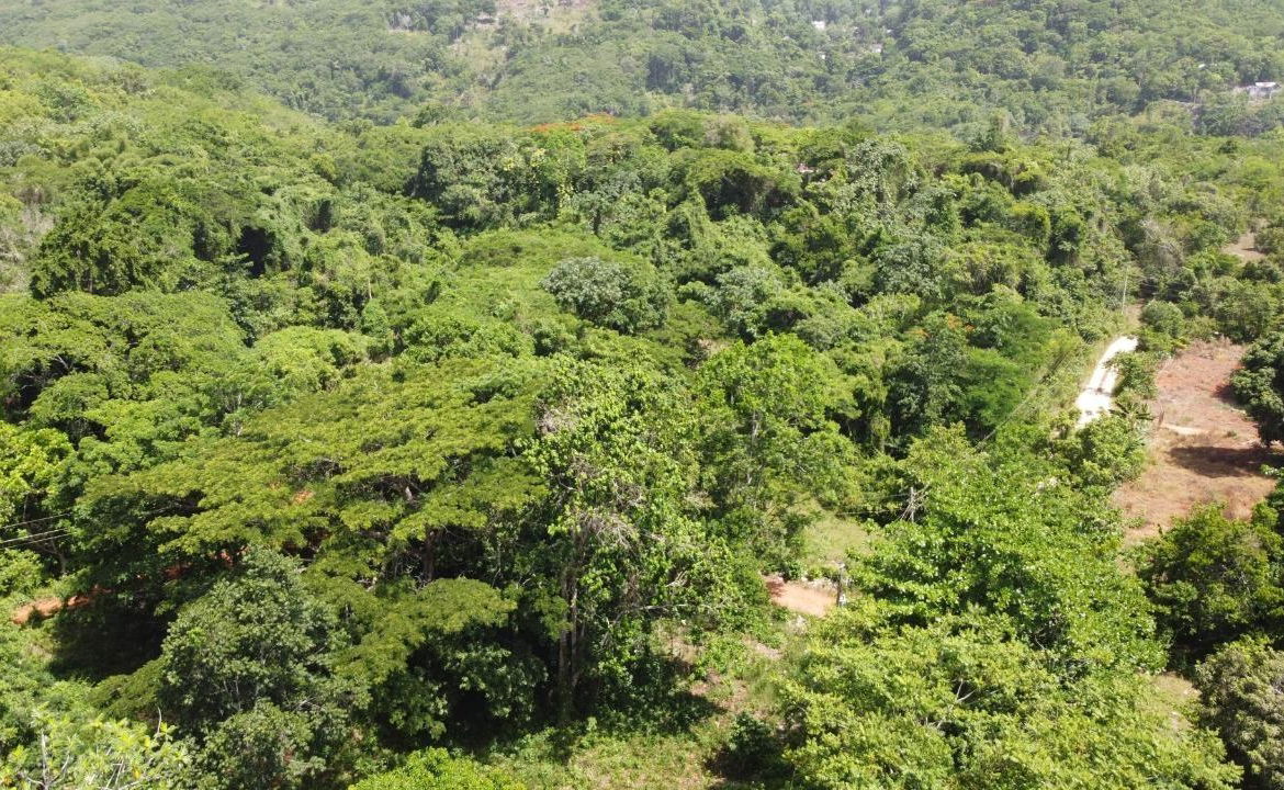 Eleventh image of Retirement in Discovery Bay, St. Ann, Jamaica - property is For Sale