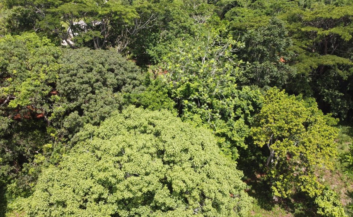 Thirteenth image of Retirement in Discovery Bay, St. Ann, Jamaica - property is For Sale