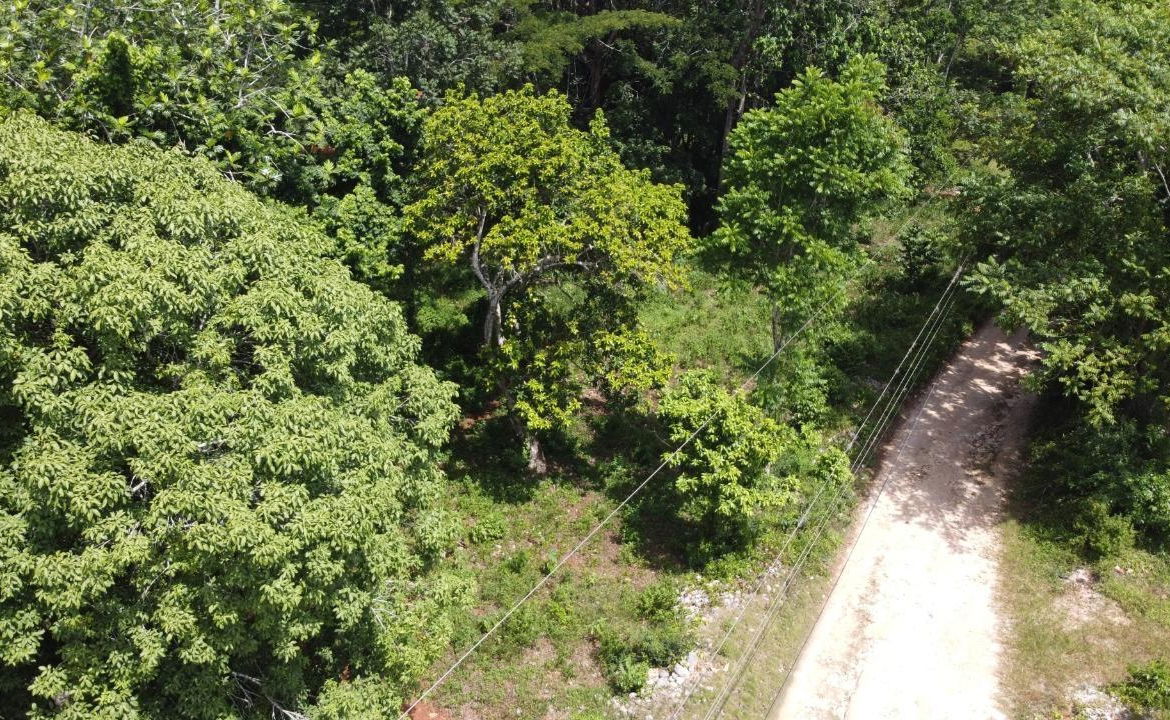 Third image of Retirement in Discovery Bay, St. Ann, Jamaica - property is For Sale