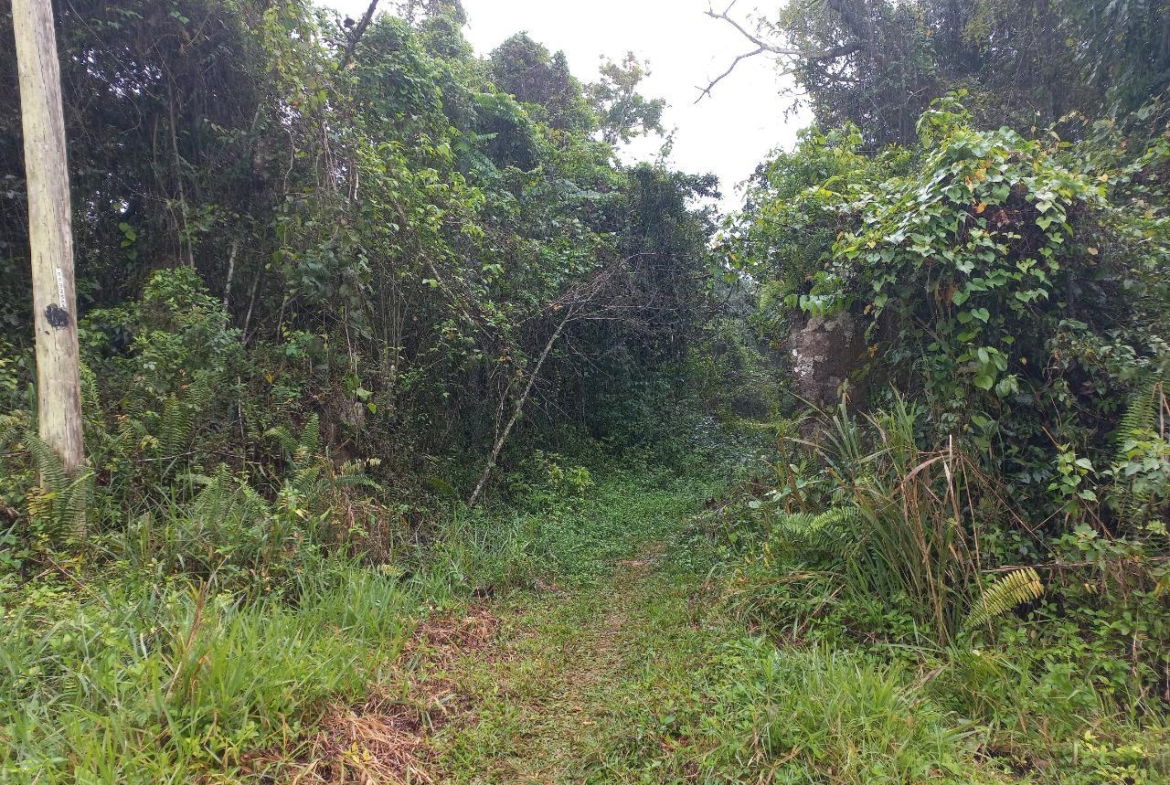 Sixth image of Retirement in Discovery Bay, St. Ann, Jamaica - property is For Sale