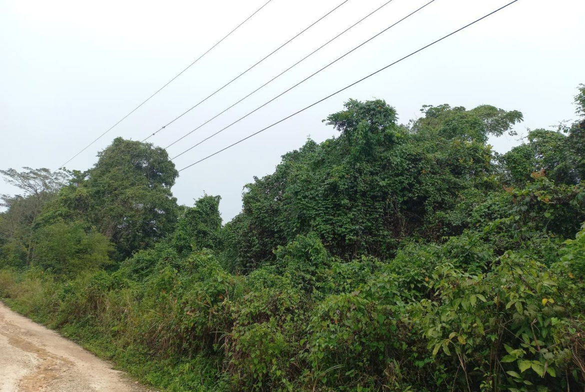 Seventh image of Retirement in Discovery Bay, St. Ann, Jamaica - property is For Sale