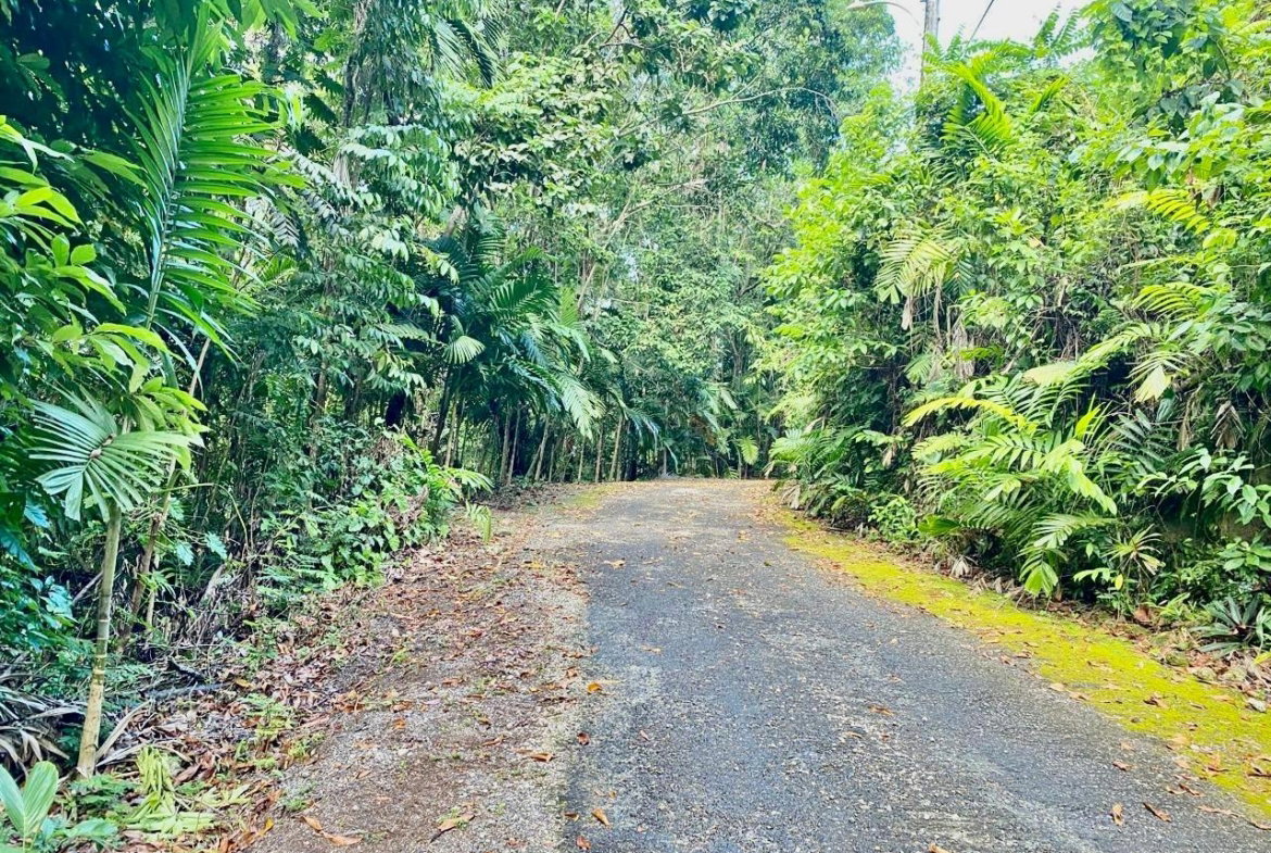 Second image of San San, Portland in Port Antonio, Portland, Jamaica - property is For Sale
