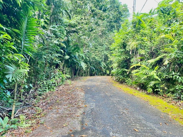 Second image of San San, Portland in Port Antonio, Portland, Jamaica - property is For Sale
