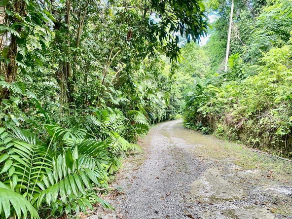 Eleventh image of San San, Portland in Port Antonio, Portland, Jamaica - property is For Sale