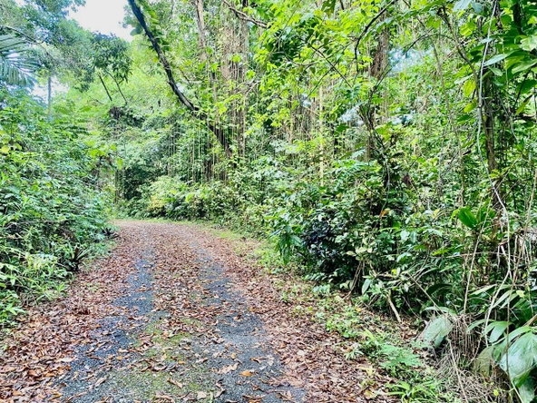 Twelfth image of San San, Portland in Port Antonio, Portland, Jamaica - property is For Sale