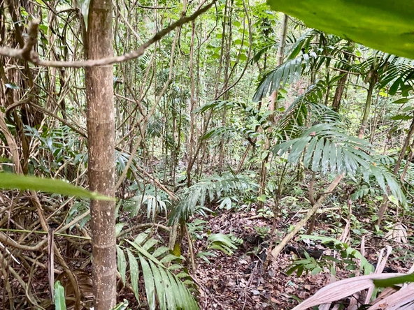 Fifteenth image of San San, Portland in Port Antonio, Portland, Jamaica - property is For Sale