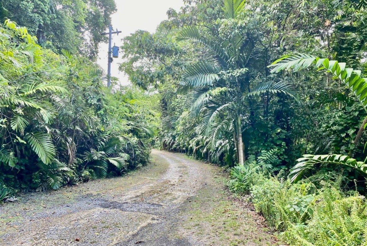 Third image of San San, Portland in Port Antonio, Portland, Jamaica - property is For Sale
