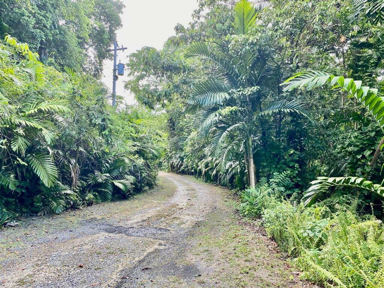 5-Acre-Beachfront-Lot-for-Sale-in-San-San-Portland-Jamaica-Prime-Residential-Land Third image of San San, Portland in Port Antonio, Portland, Jamaica - property is For Sale