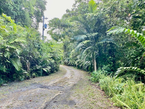 Third image of San San, Portland in Port Antonio, Portland, Jamaica - property is For Sale