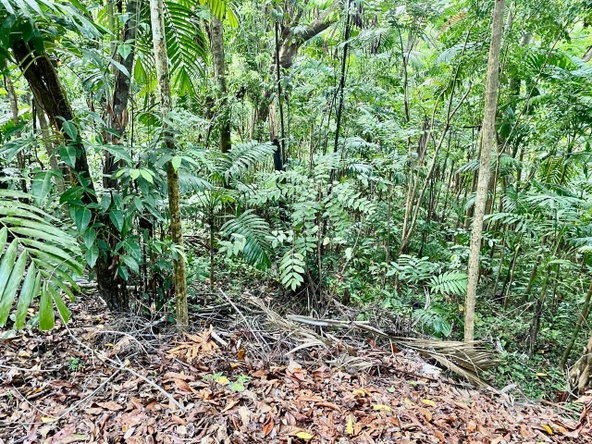 Twenty-Third image of San San, Portland in Port Antonio, Portland, Jamaica - property is For Sale