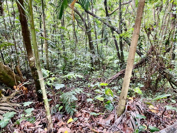 Twenty-Fourth image of San San, Portland in Port Antonio, Portland, Jamaica - property is For Sale