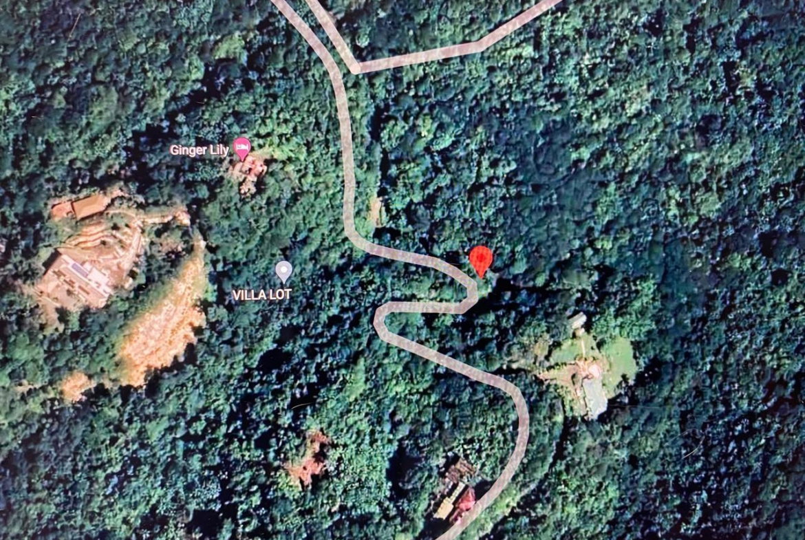 Twenty-Fifth image of San San, Portland in Port Antonio, Portland, Jamaica - property is For Sale