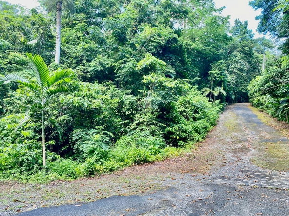 Fifth image of San San, Portland in Port Antonio, Portland, Jamaica - property is For Sale