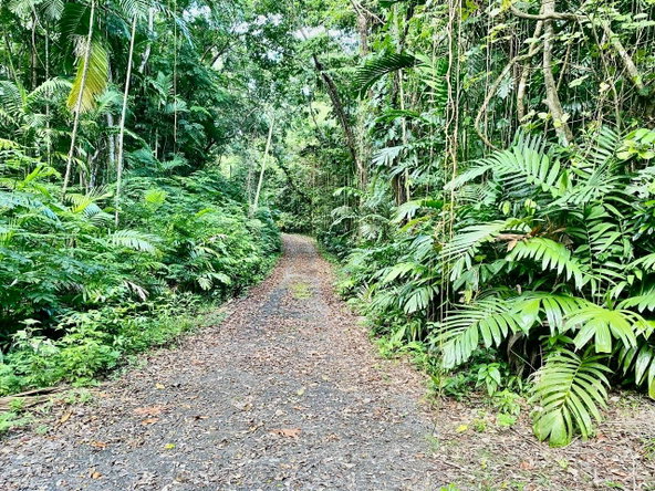 Seventh image of San San, Portland in Port Antonio, Portland, Jamaica - property is For Sale