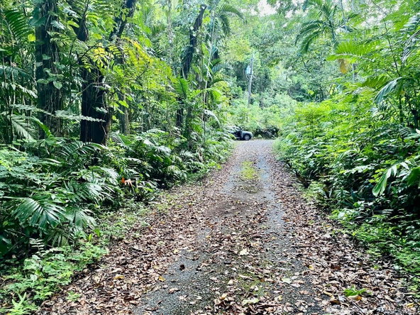 Eighth image of San San, Portland in Port Antonio, Portland, Jamaica - property is For Sale
