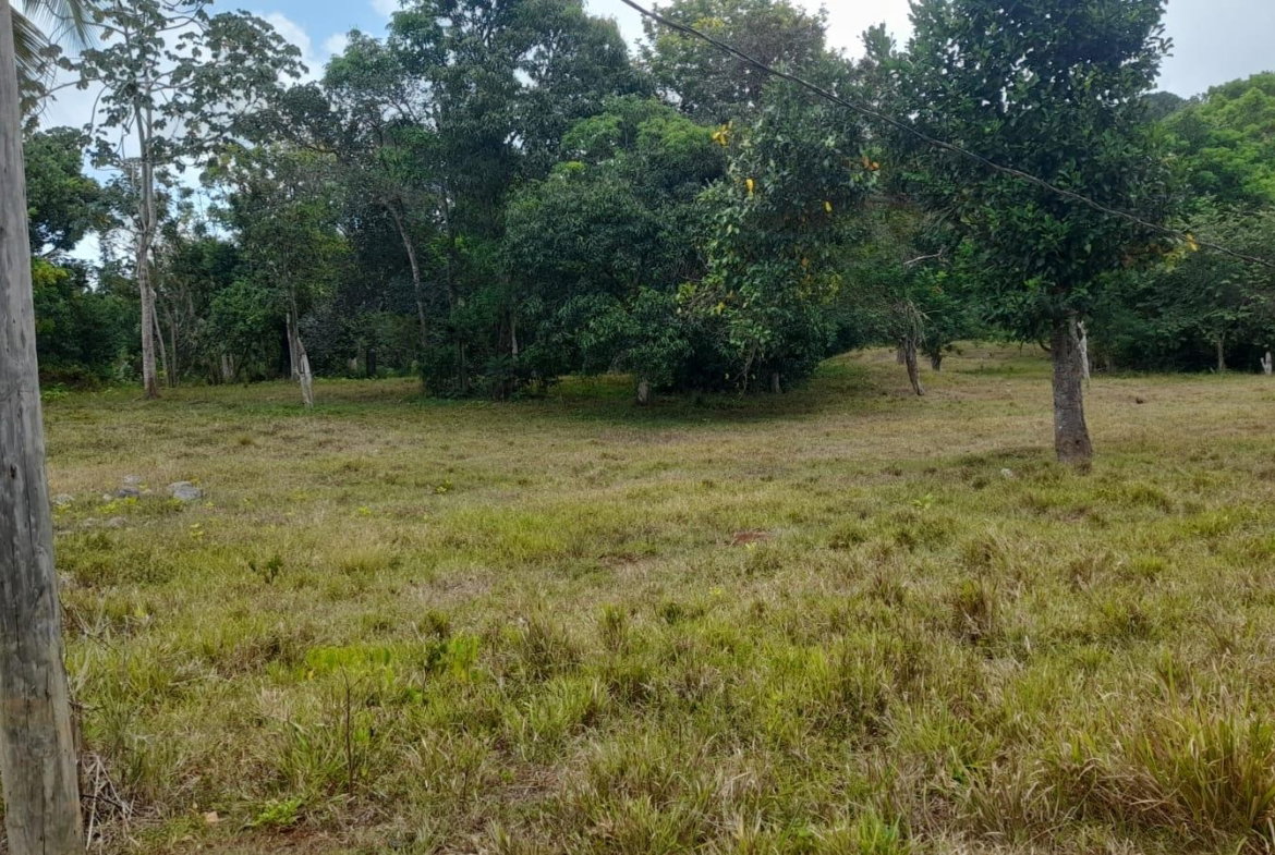 Second image of Aberdeen Huntley in Aberdeen Heights, St. Ann, Jamaica - property is For Sale