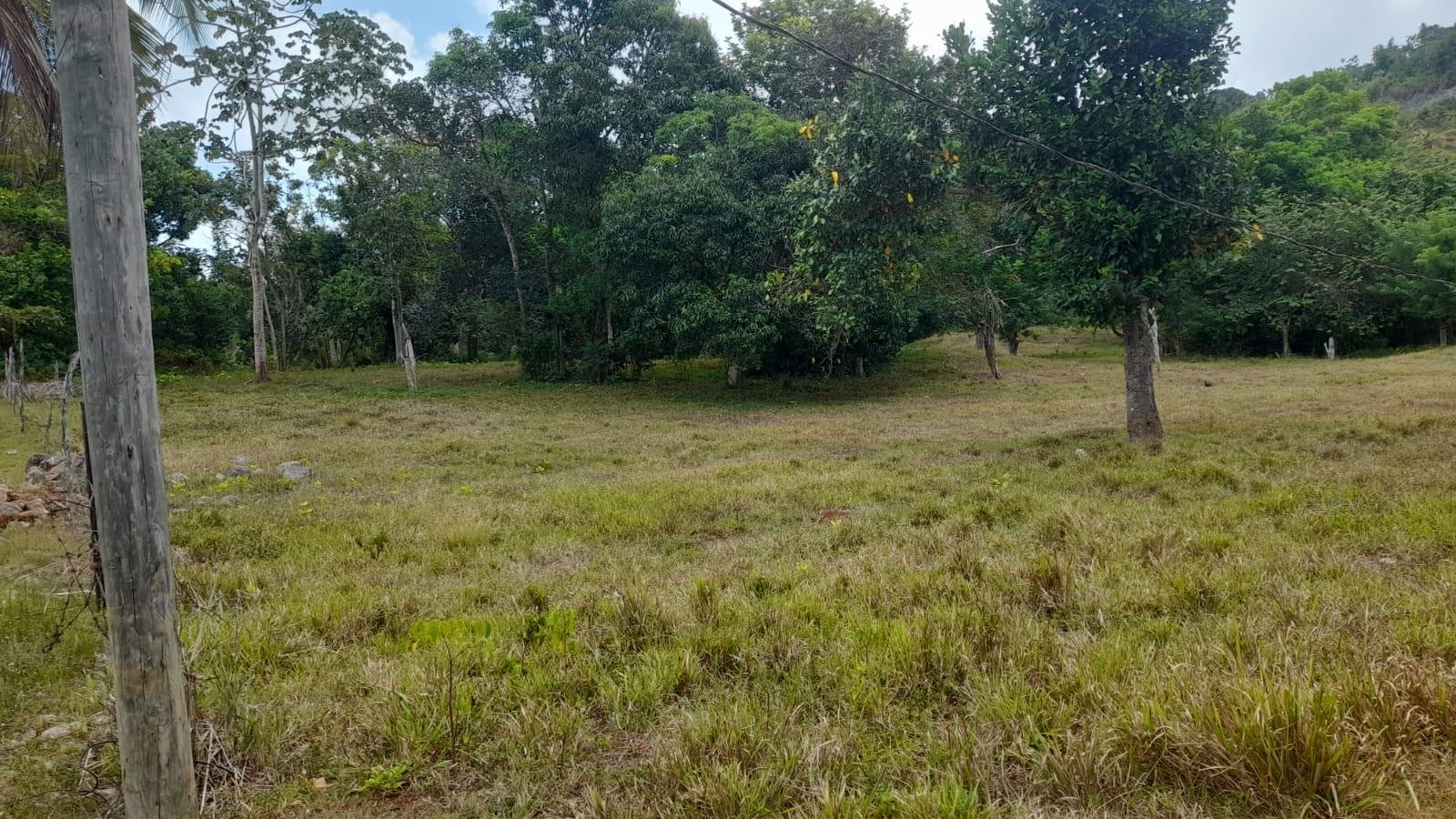 Second image of Aberdeen Huntley in Aberdeen Heights, St. Ann, Jamaica - property is For Sale