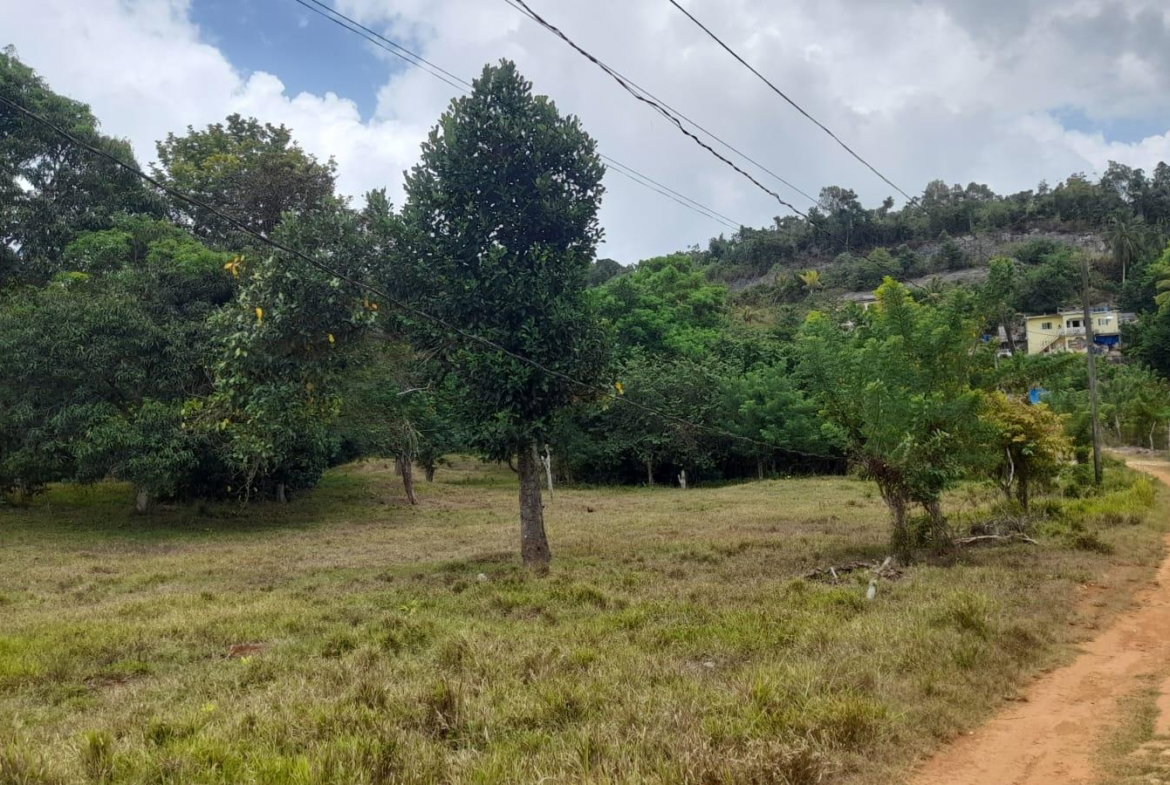Twelfth image of Aberdeen Huntley in Aberdeen Heights, St. Ann, Jamaica - property is For Sale