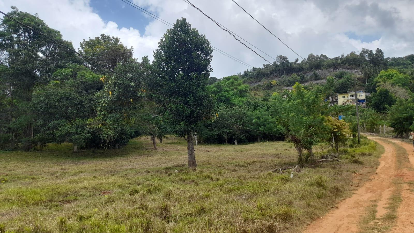 Twelfth image of Aberdeen Huntley in Aberdeen Heights, St. Ann, Jamaica - property is For Sale