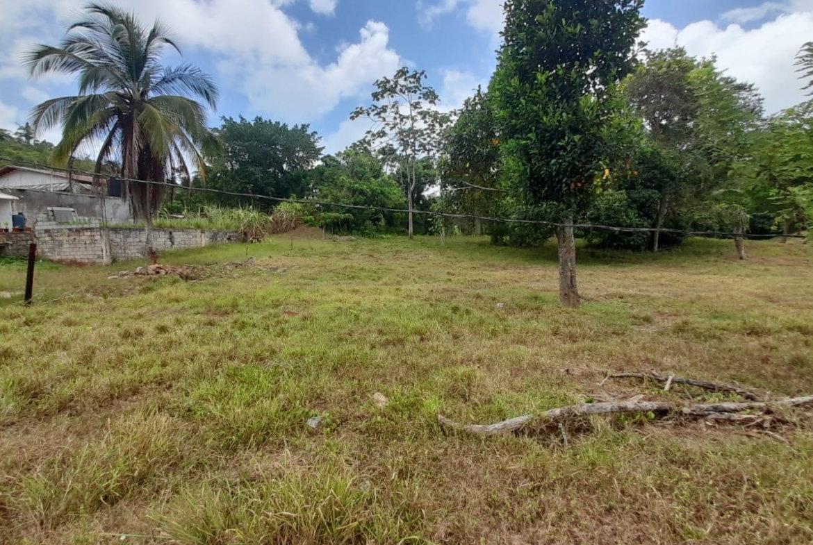 First image of Aberdeen Huntley in Aberdeen Heights, St. Ann, Jamaica - property is For Sale