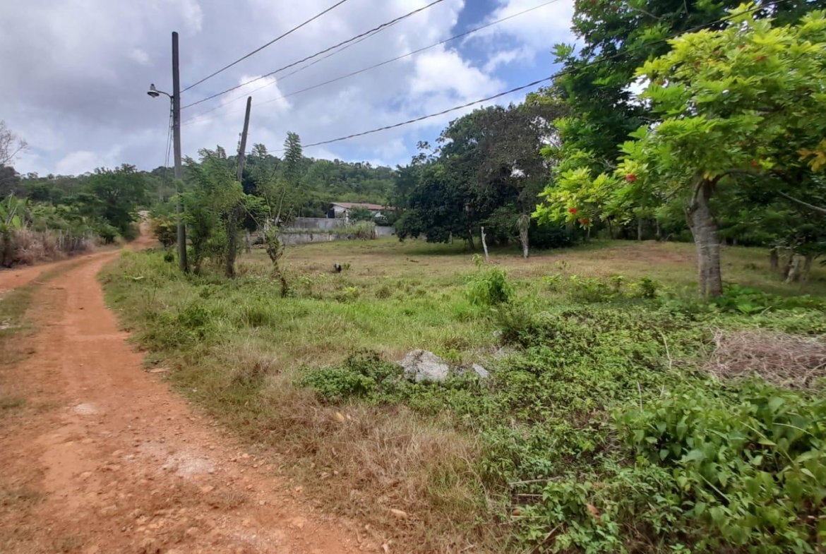 Fourth image of Aberdeen Huntley in Aberdeen Heights, St. Ann, Jamaica - property is For Sale