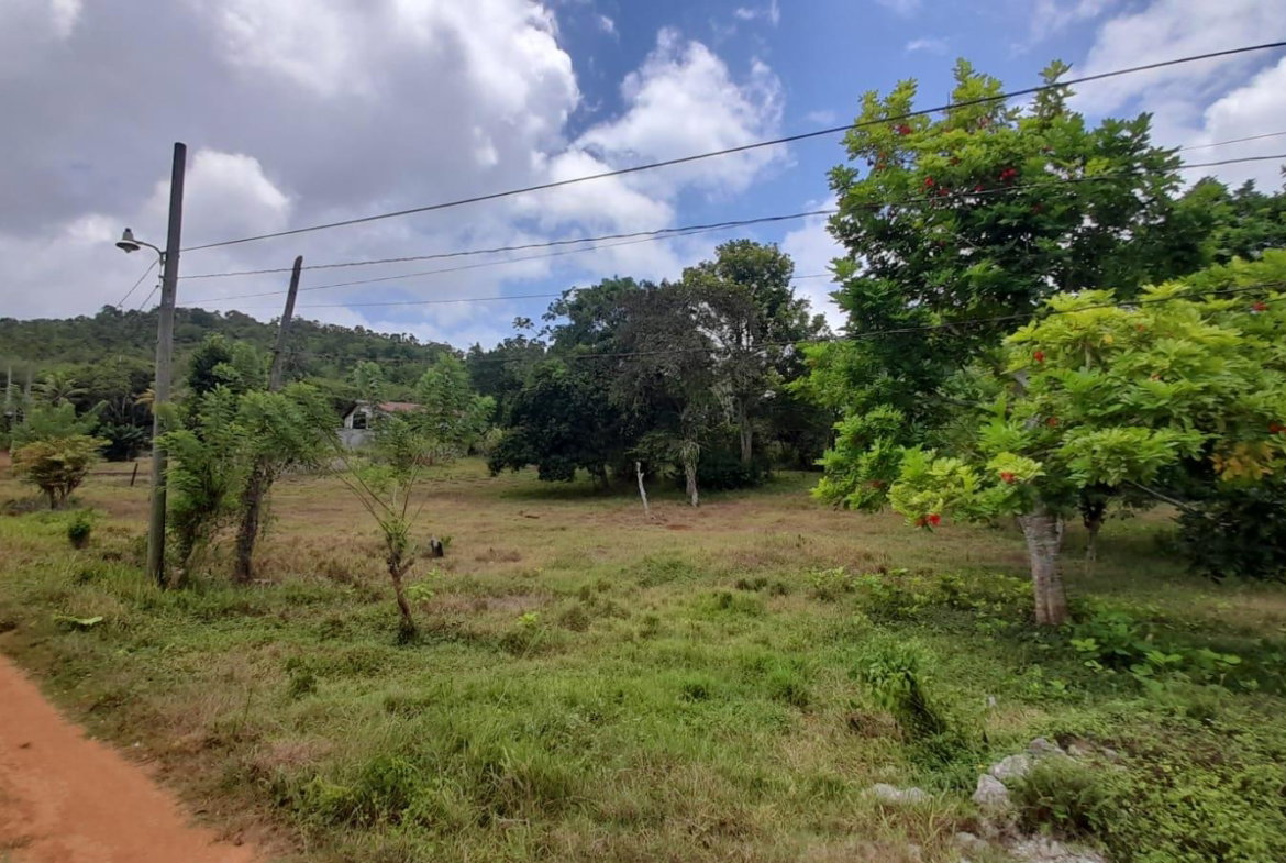 Fifth image of Aberdeen Huntley in Aberdeen Heights, St. Ann, Jamaica - property is For Sale