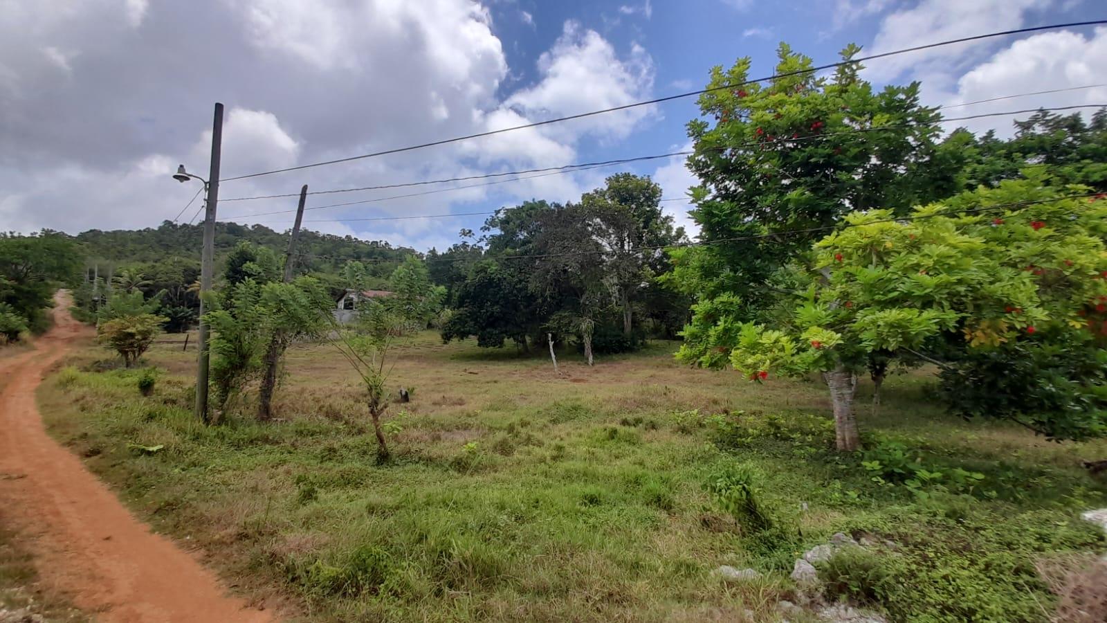 Fifth image of Aberdeen Huntley in Aberdeen Heights, St. Ann, Jamaica - property is For Sale