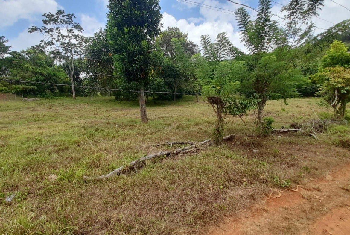 Sixth image of Aberdeen Huntley in Aberdeen Heights, St. Ann, Jamaica - property is For Sale