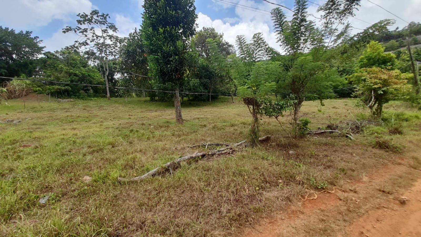 Sixth image of Aberdeen Huntley in Aberdeen Heights, St. Ann, Jamaica - property is For Sale